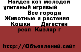 Найден кот,молодой упитаный игривый 12.03.2017 - Все города Животные и растения » Кошки   . Дагестан респ.,Кизляр г.